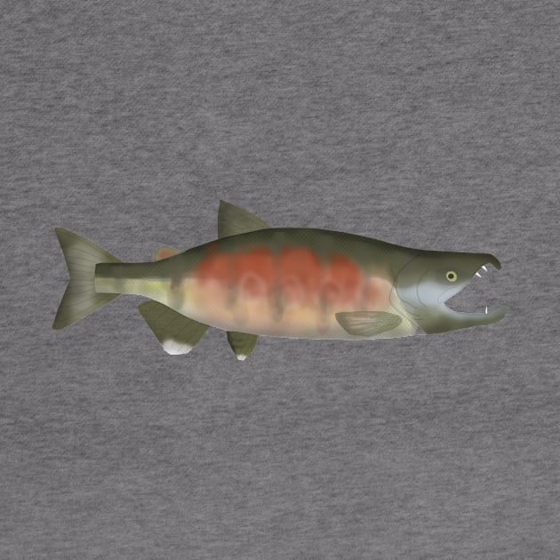 Chum Salmon - Spawn Phase by FishFolkArt